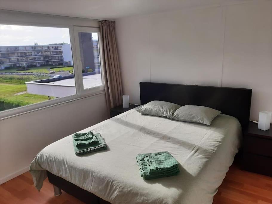 Spacieux Duplex Pres De La Mer 4 Chambres 2 Sdb De Haan Kültér fotó